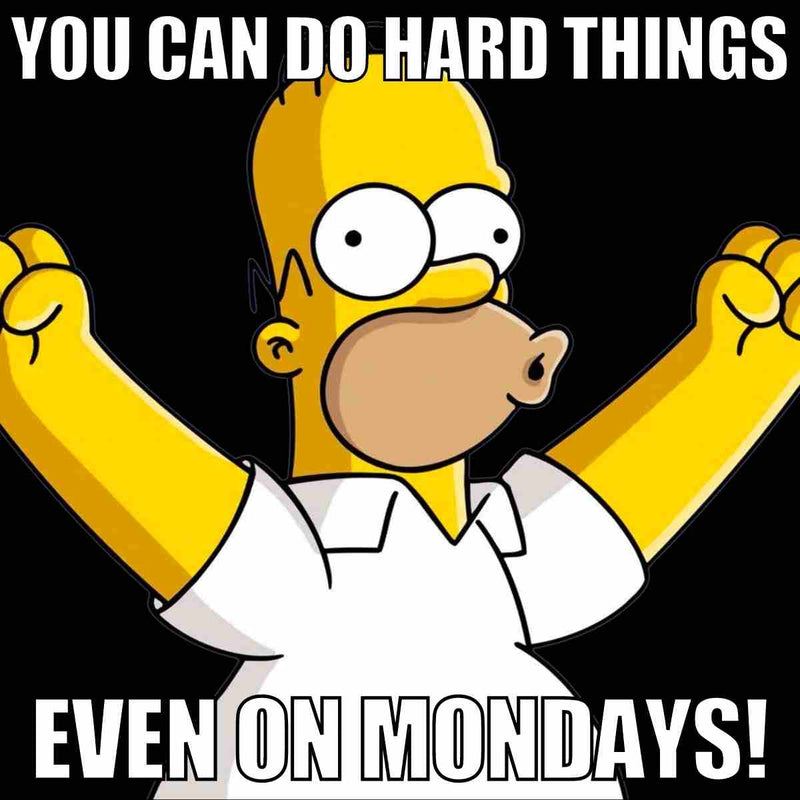 Let's get this week Rockin! #Follownoone